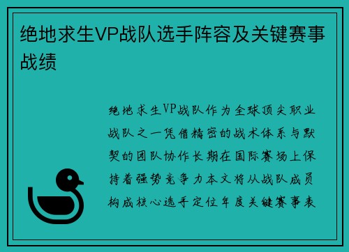 绝地求生VP战队选手阵容及关键赛事战绩